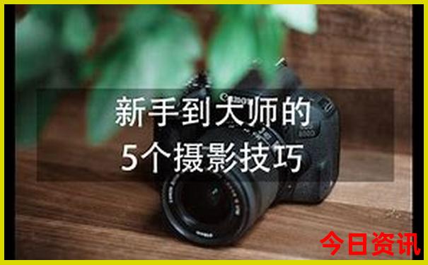 春节出游去哪里好
